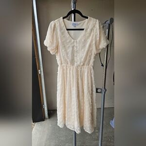 Cream Swiss Dot Dress New